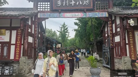篮球联赛关键指南：保障篮球运动活力，男篮危机分析超越女篮